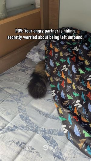 Video post by @9gag on Instagram