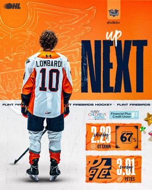 Image post by @flintfirebirds on Instagram