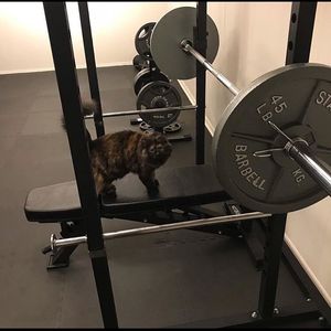 Image post by @repfitnessequipment on Instagram