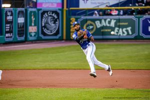 Image post by @hartfordyardgoats on Instagram