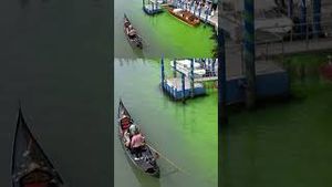 Video post by @cnn on YouTube