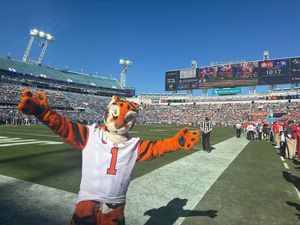 Image post by @thetiger_cu on Instagram