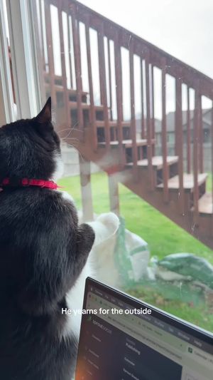 Video post by @kate.cassaidy on TikTok