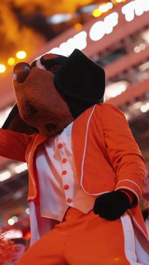 Video post by @vol_sports on TikTok