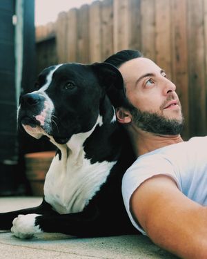 Image post by @realadamrose on Instagram