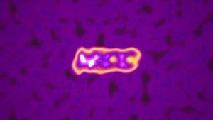 Video post by @neccgames on Twitter