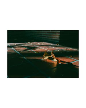 Image post by @juswillis on Instagram