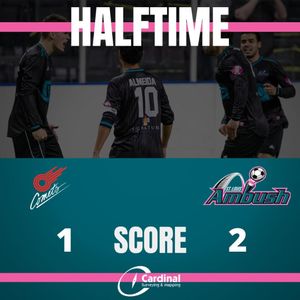 Image post by @stlouisambush on Instagram
