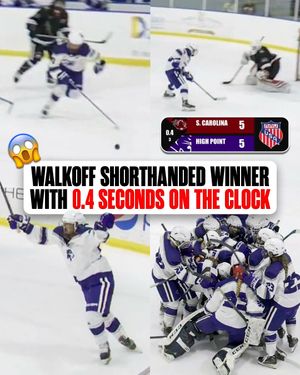 Image post by @hockeyhousepod on Instagram