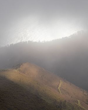 Image post by @cristan.nature.photography on Instagram
