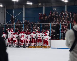 Video post by @berniejpvids on TikTok