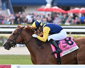 Image post by @coolmoreamerica on Instagram