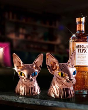 Image post by @absolutelyx on Instagram