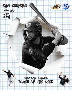 Image post by @akronrubberducks on Instagram