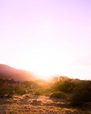 Image post by @chrislholder on Instagram