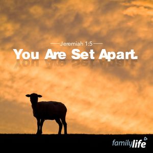 Image post by @familylifenypa on Instagram