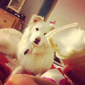 Image post by @briannalapaglia on Instagram