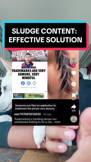 Video post by @seansvv on TikTok