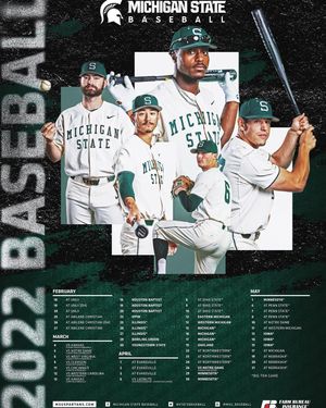 Image post by @msu_baseball on Instagram