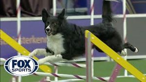 Video post by @foxsports on YouTube