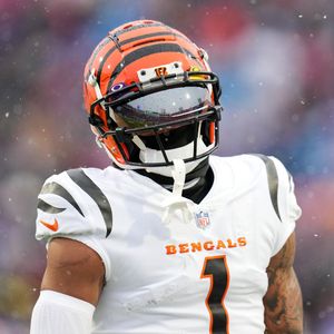Image post by @Bengals on Twitter