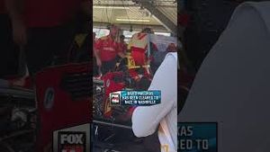 Video post by @indycaronfox on YouTube