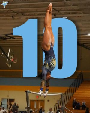 Image post by @liuwgymnastics on Instagram