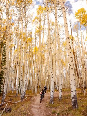 Image post by @skicrestedbutte on Instagram