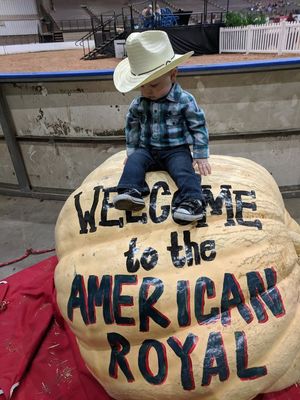 Image post by @americanroyalassociation on Facebook