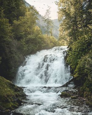 Image post by @zachdittberner on Instagram