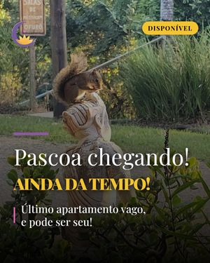 Image post by @pousadaluzepaz on Instagram