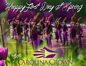 Image post by @carolinacrown on Instagram