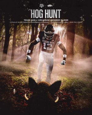 Image post by @aggiefootball on Instagram