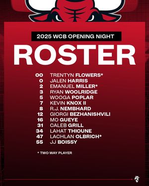 Image post by @windycitybulls on Instagram