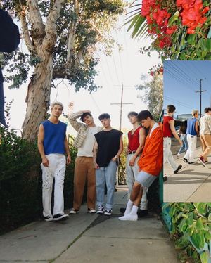 Image post by @whydontwemusic on Instagram