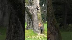 Video post by @accuweather on YouTube