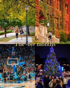 Image post by @youaremarquette on Instagram