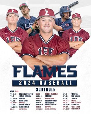 Image post by @leeubaseball on Instagram