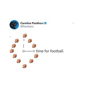 Image post by @panthers on Instagram