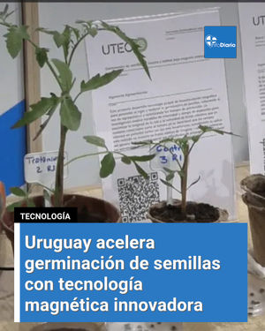 Image post by @infodiariord on Instagram