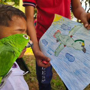 Image post by @fundacionloros on Instagram