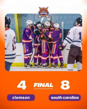 Image post by @clemsonicehockey on Instagram