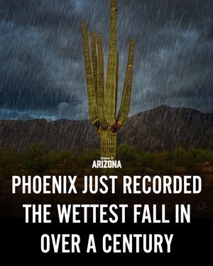 Image post by @welcometoarizona on Instagram