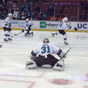 Image post by @sanjosesharks on Instagram