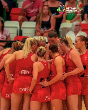 Image post by @walesnetball_ on Instagram