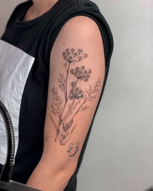 Image post by @tamarafalcomer on Instagram