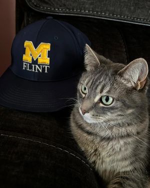 Image post by @umflint_club_baseball on Instagram