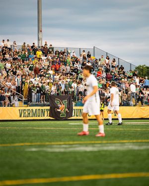 Image post by @tylerdavis.creative on Instagram