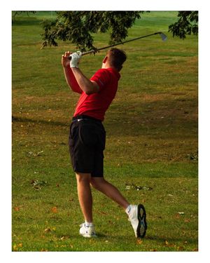 Image post by @trolley_studios on Instagram