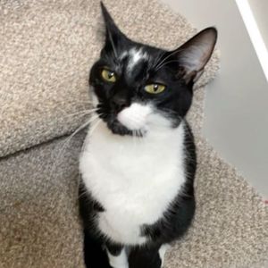 Image post by @socialgimmickz on Instagram